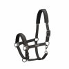 Kantar PIN BUCKLE Essence 2022 - Eskadron - darkolive